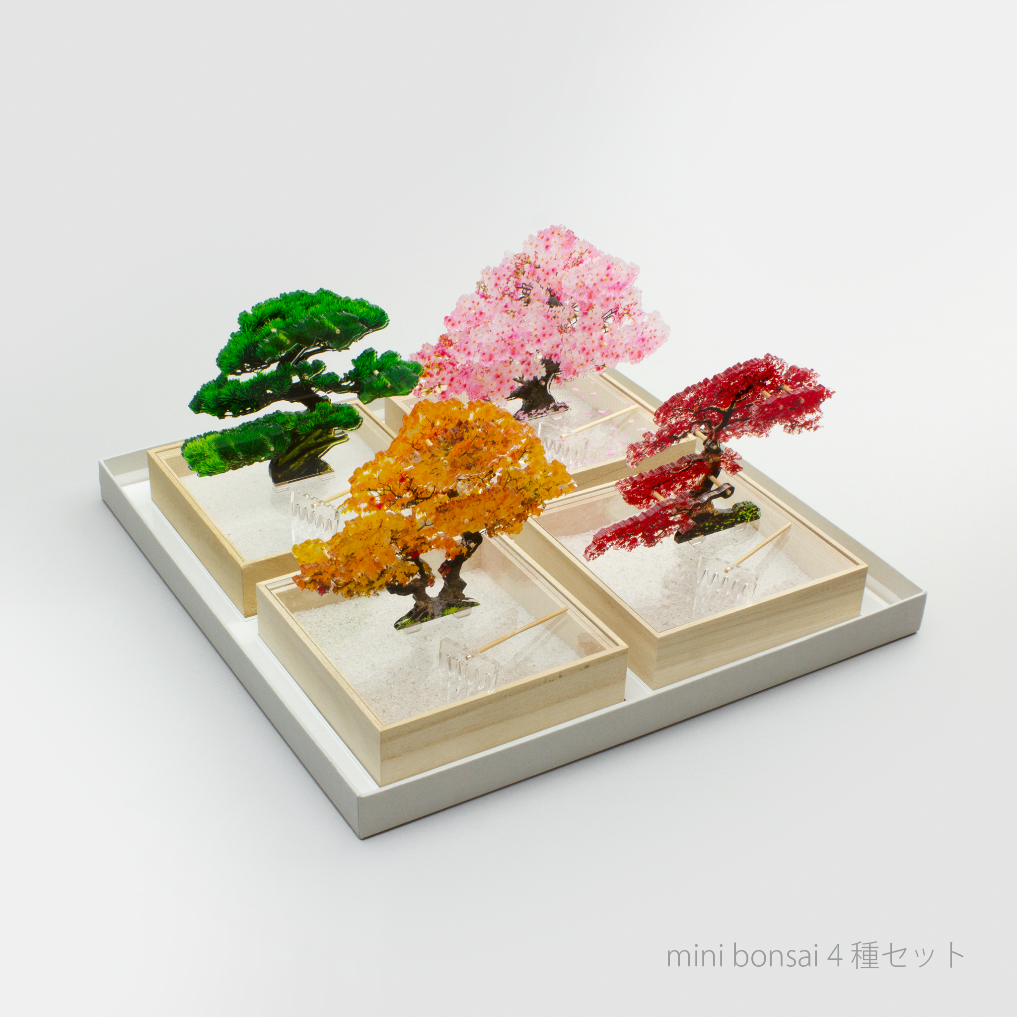 minibonsai4set_02_e38a0eb0- minibonsai4set_02_e38a0eb0-