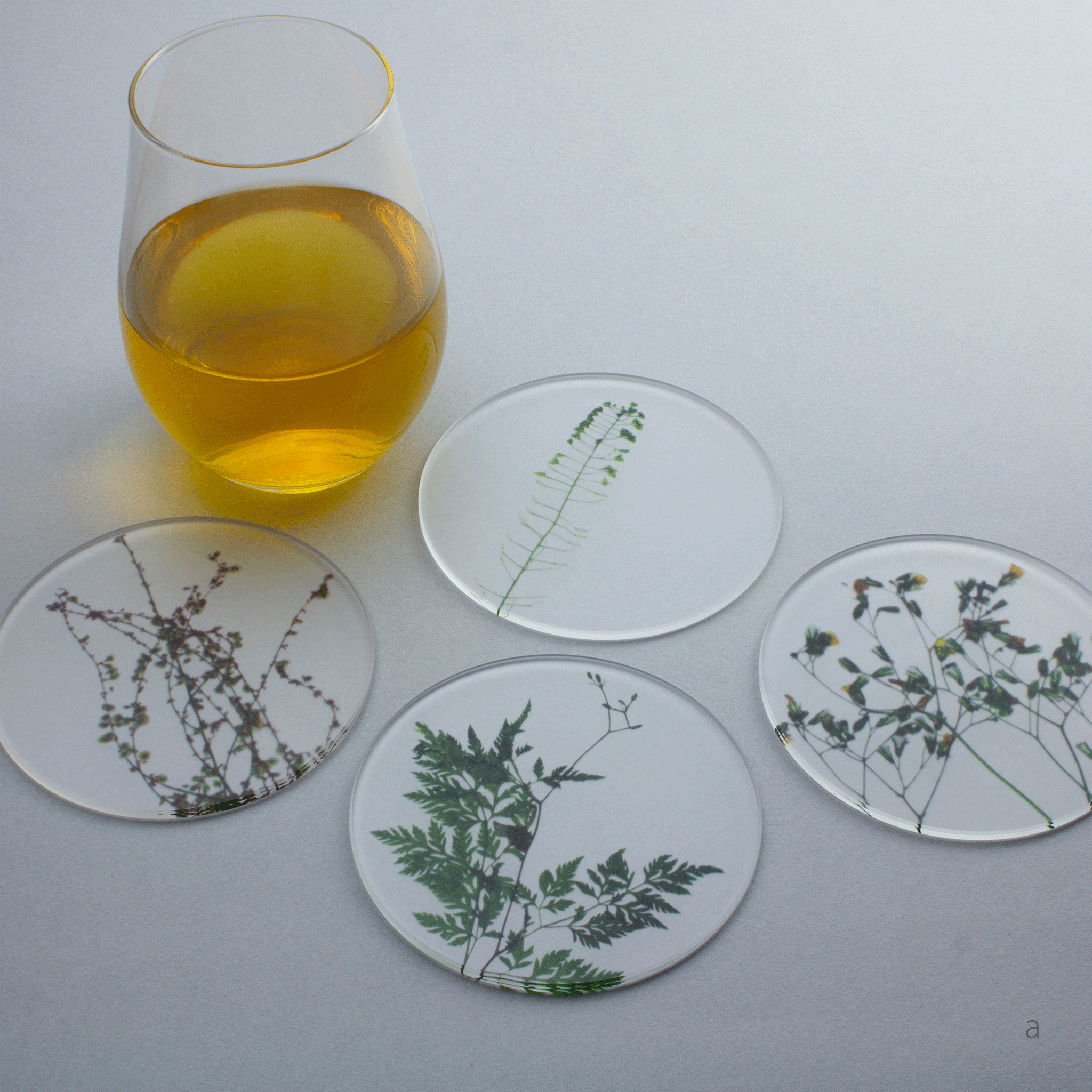 押し花アート 魚 化石 木製箱入り 0049_oshibana_coaster_4set_a.