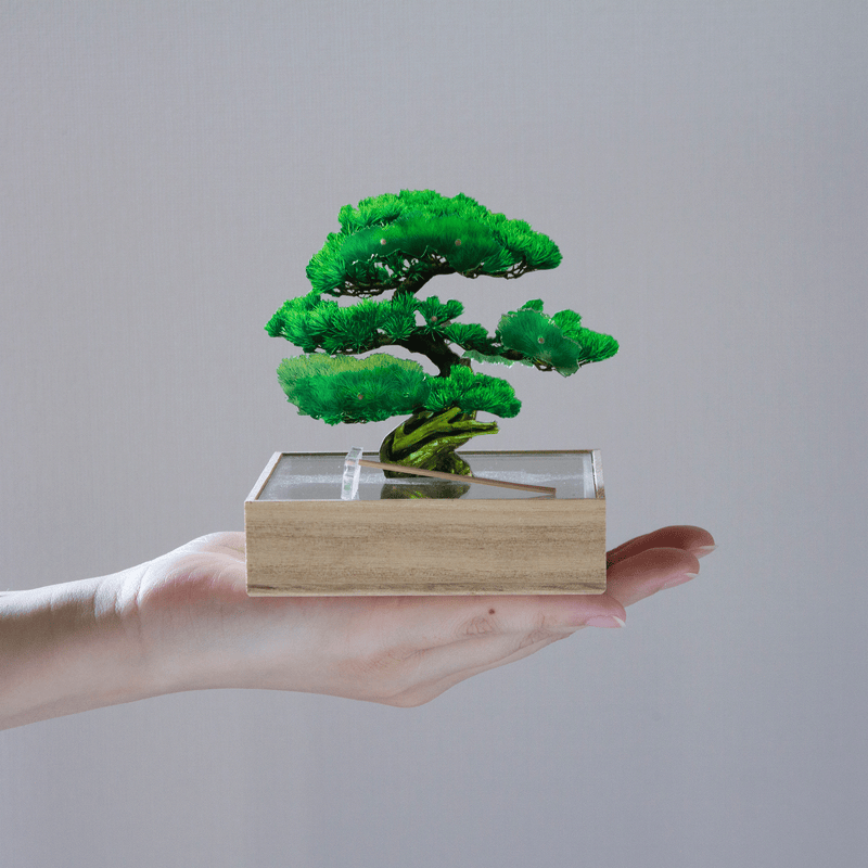 mini bonsai