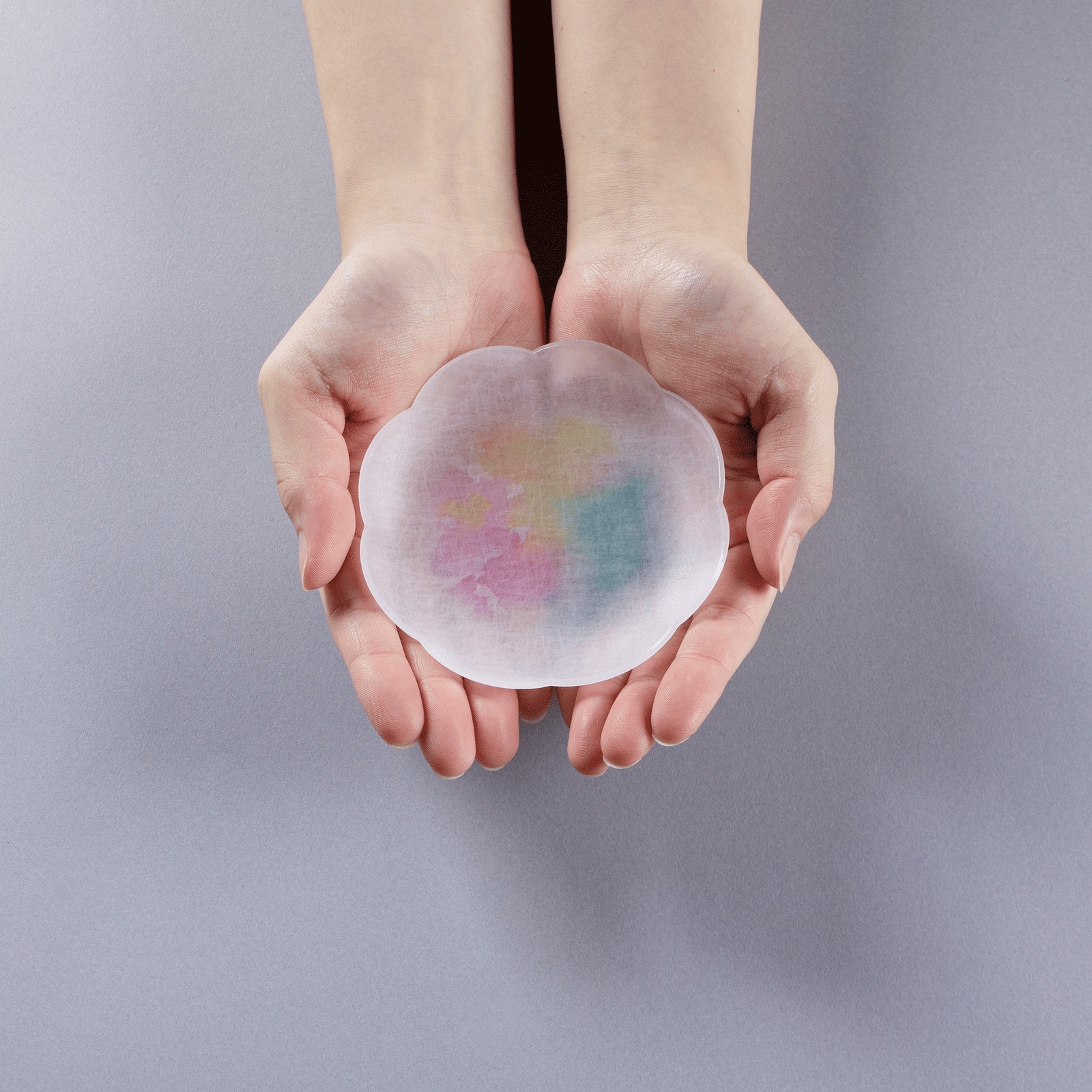 あわいろ まめざら 桜 11cm 木箱入り4枚セット | toumei