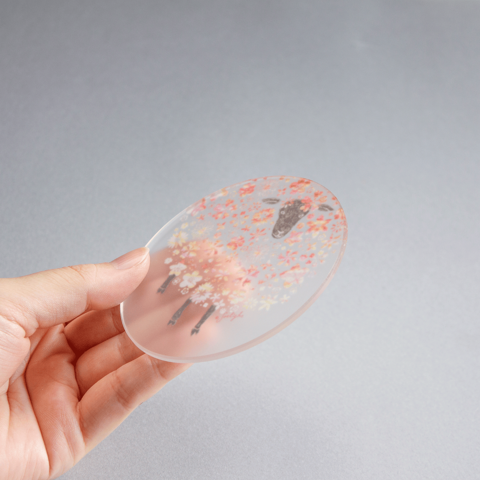 toumei×sotlight コースター 木箱入り4枚セット | toumei