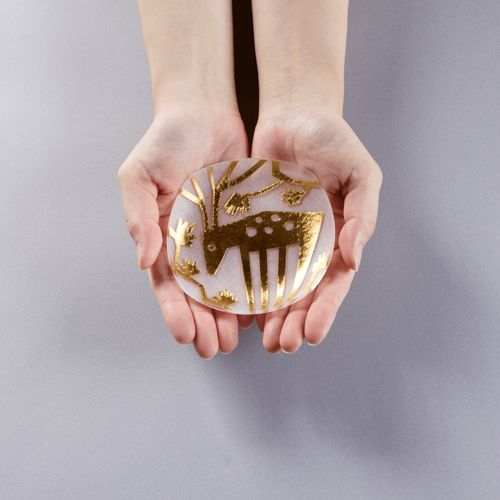 まめ様 リクエスト 4点 まとめ商品 haku_mamezara_4set_i_sv.png?v=