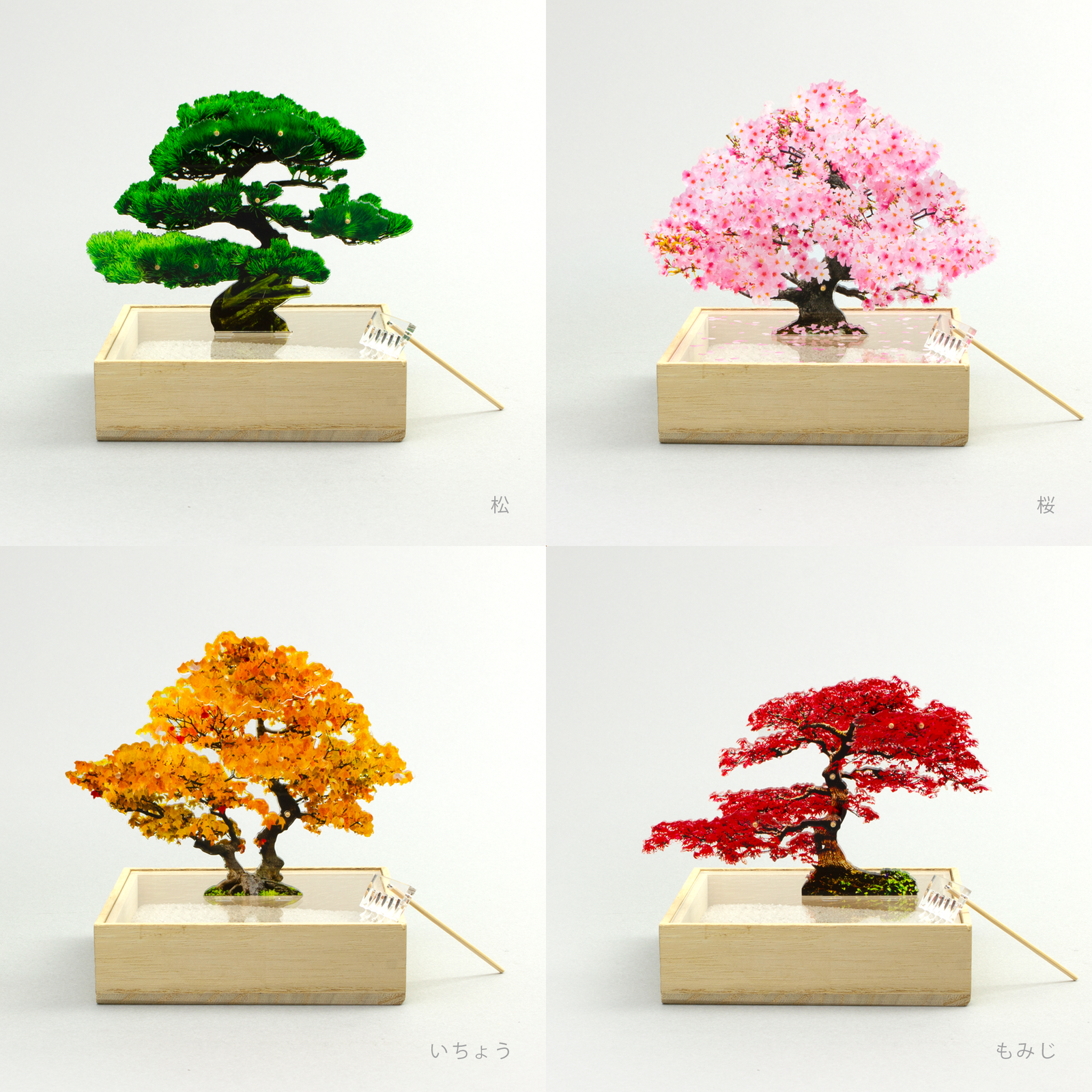 mini bonsai 4種セット – toumei mini bonsai 4種セット – toumei