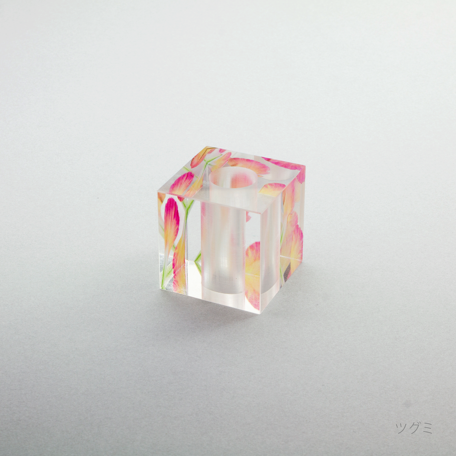 押花 カーネーション 歯ブラシホルダー | toumei online store