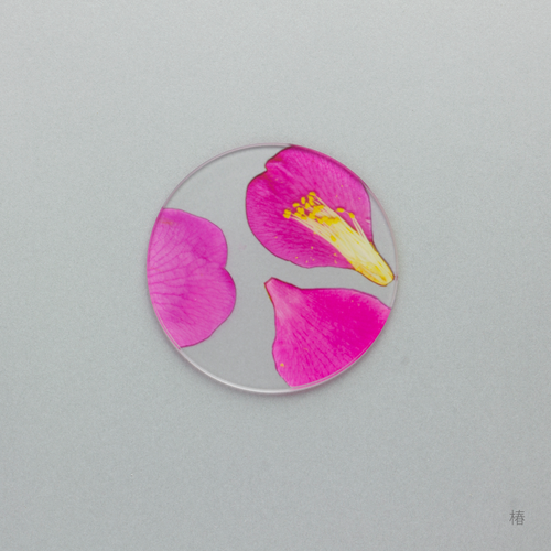 押花 コースター<山茶花・椿>