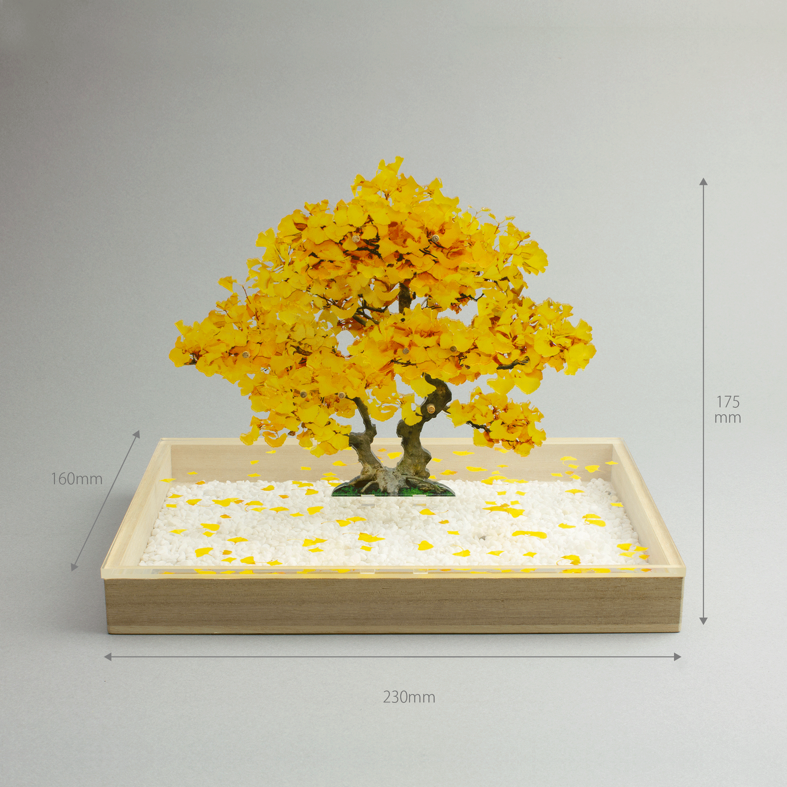 toumei bonsai Sサイズ アクリル 盆栽 松 ドライフラワー toumei bonsai Sサイズ アクリル 盆栽 松 ドライフラワー