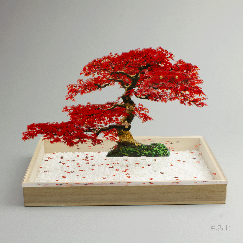 bonsai Sサイズ もみじ | toumei online store bonsai Sサイズ もみじ | toumei online store