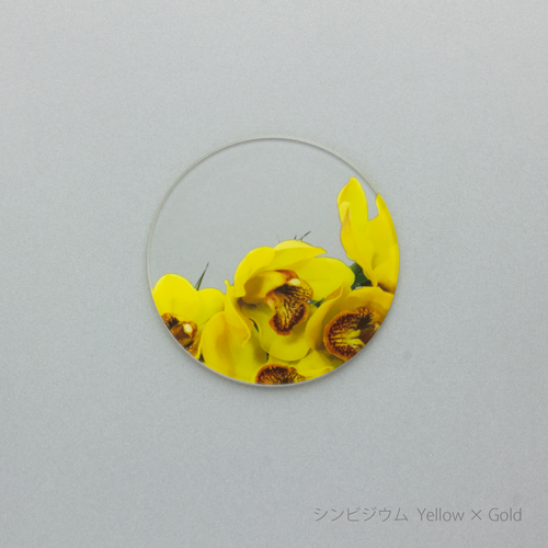 ikebana コースター　シンビジウム Yellow × Gold
