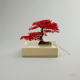 mini bonsai