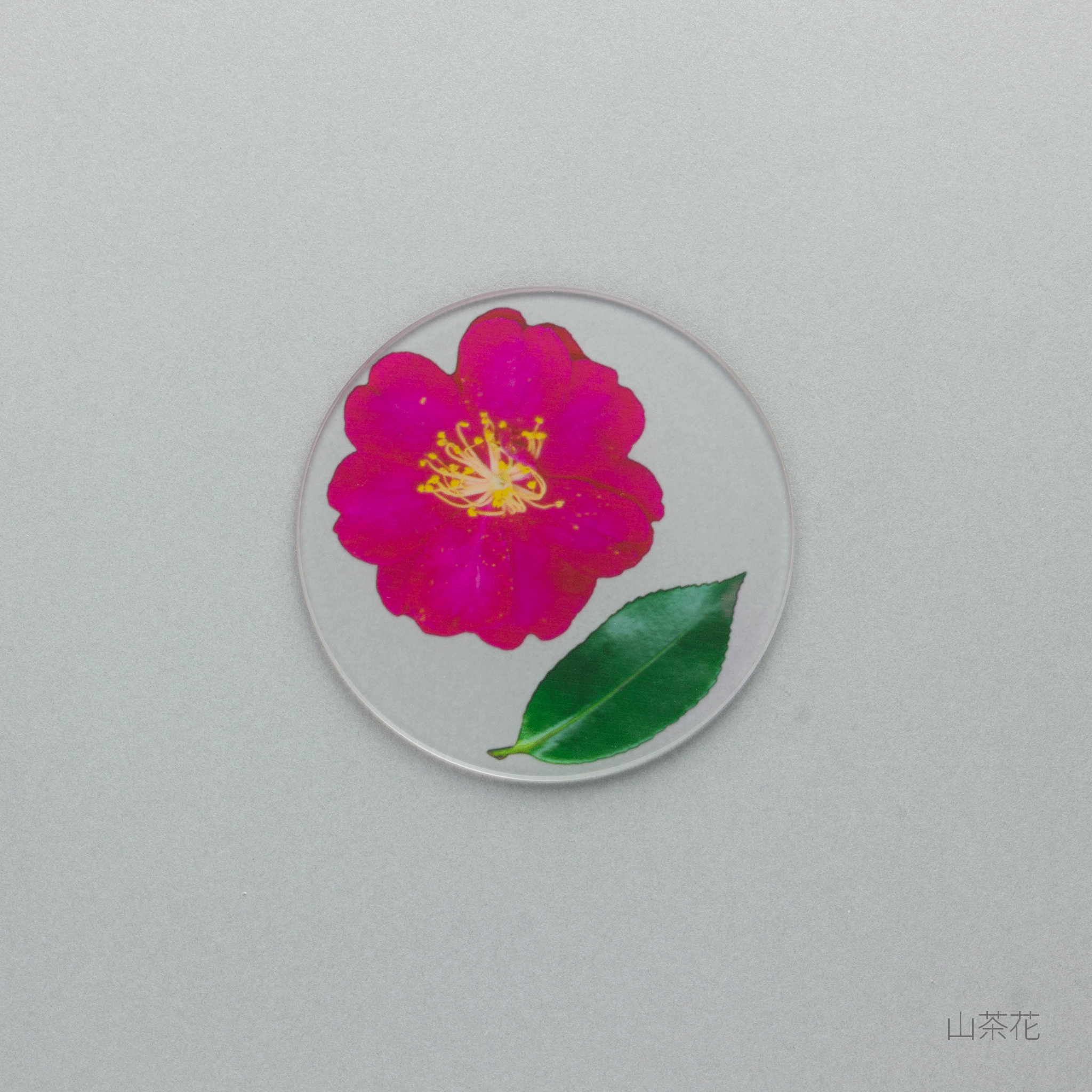 ALL ITEMS | toumei online store – 6ページ目
