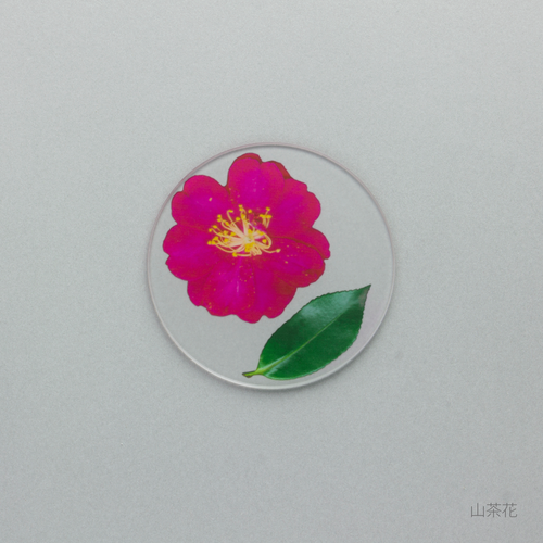 押花 コースター<山茶花・椿>