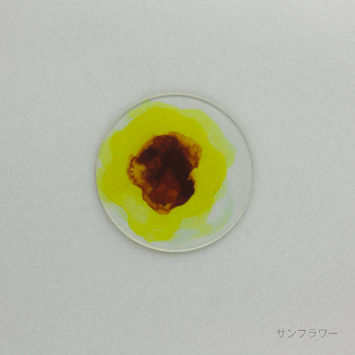 あわいろ　コースター　ひまわり　サンフラワー