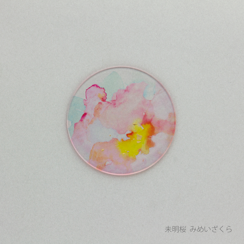 あわいろ　コースター　桜　未明桜