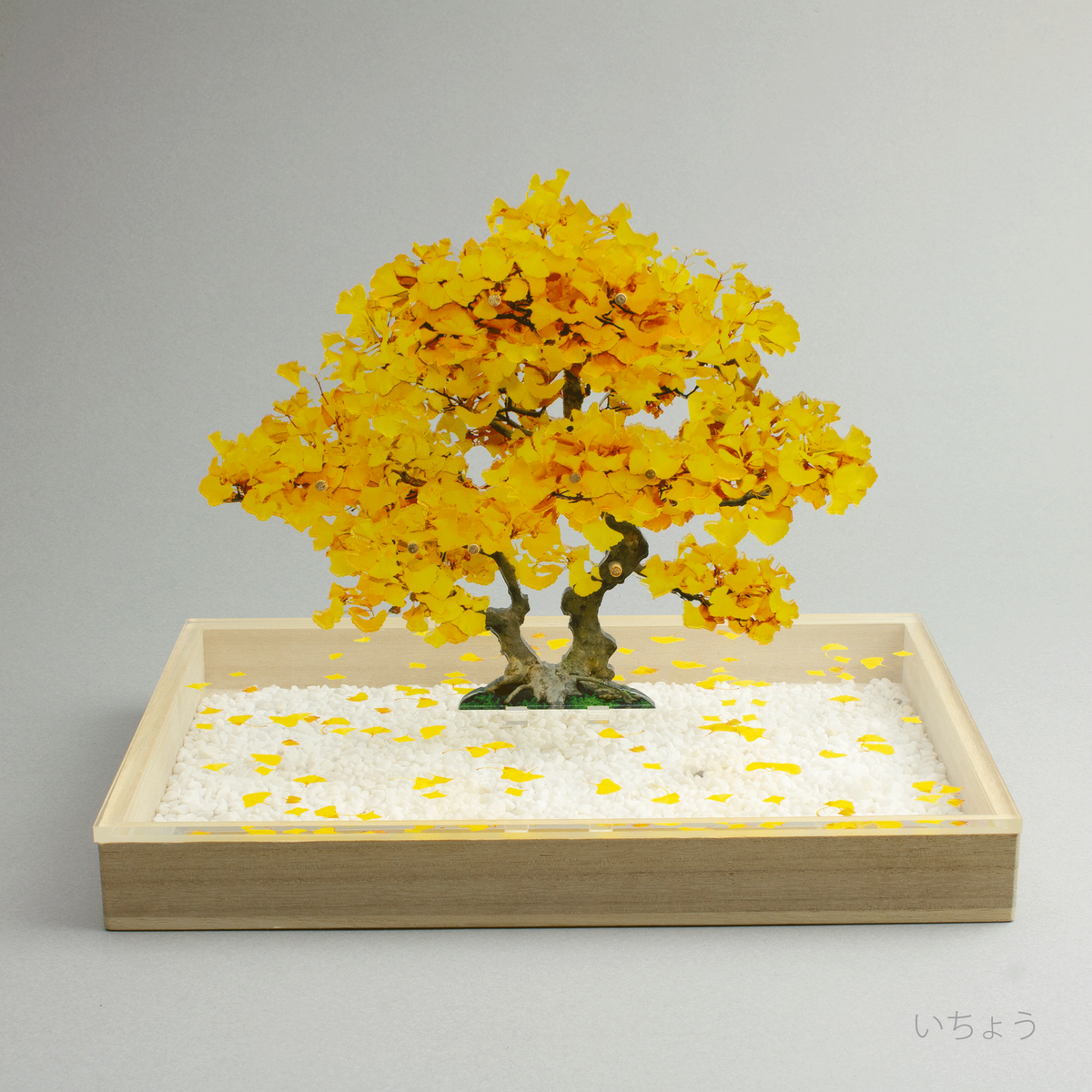 0002_bonsaiS_icho1_1200x.png?v 0002_bonsaiS_icho1_1200x.png?v