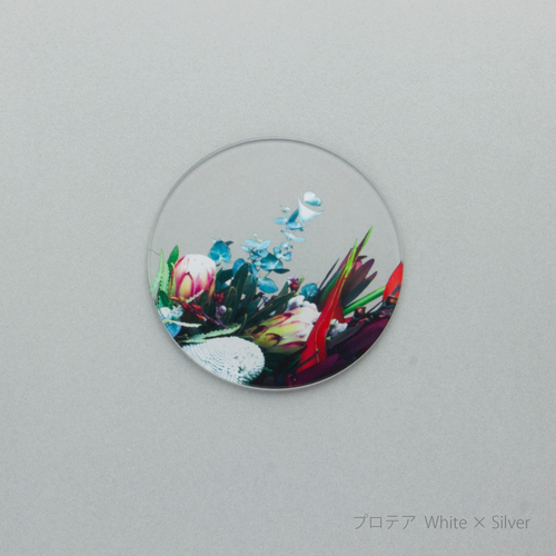 ikebana コースター　プロテア White × Silver