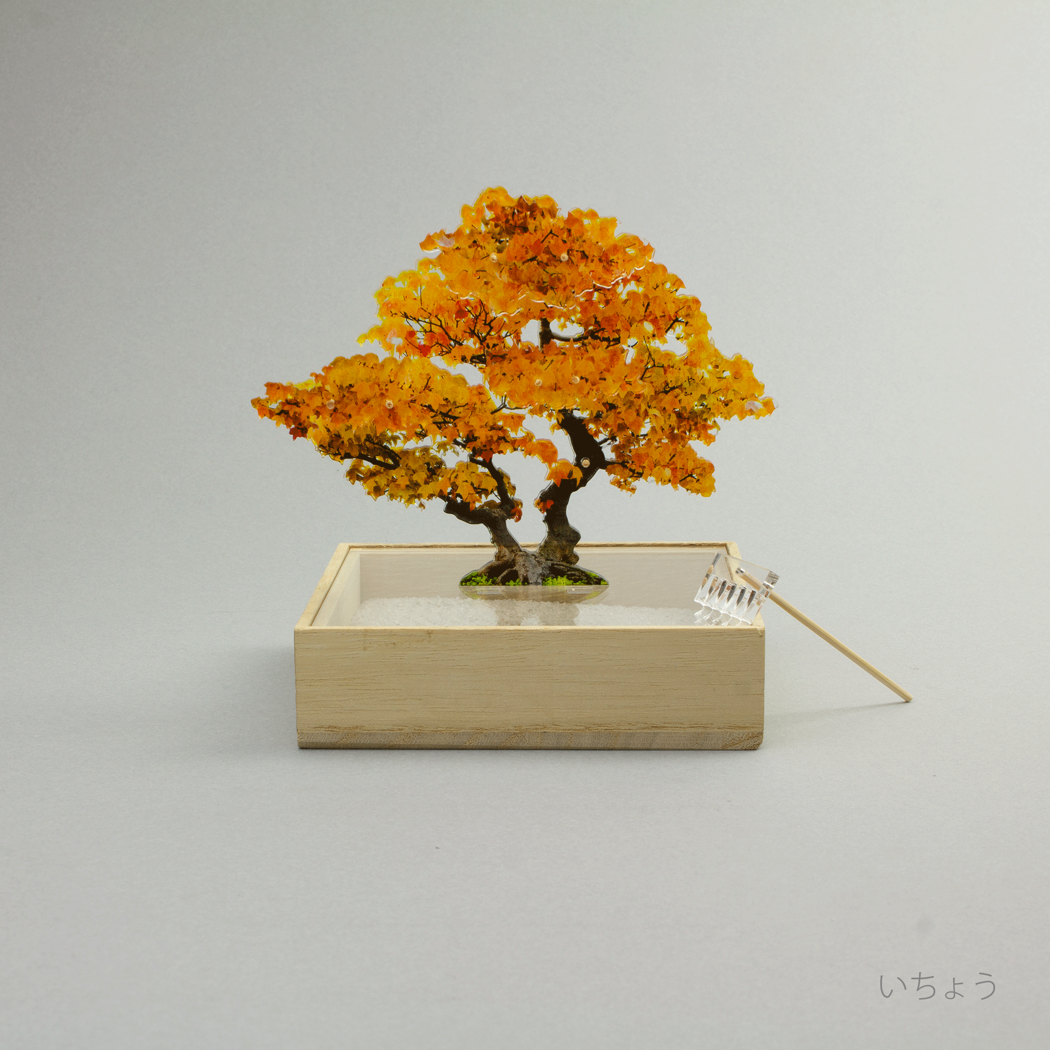 mini bonsai | toumei online store