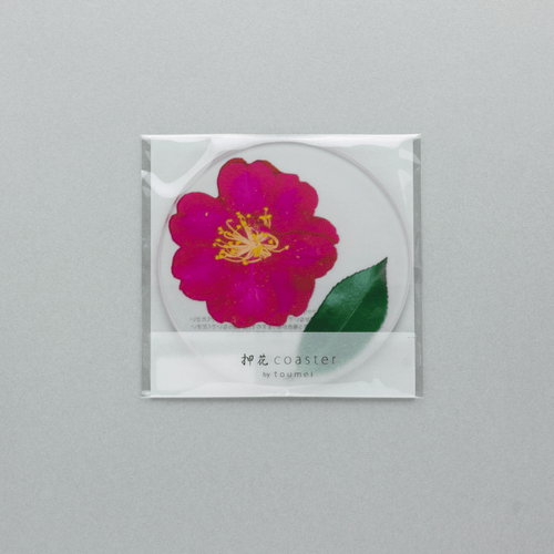 押花 コースター<山茶花・椿>