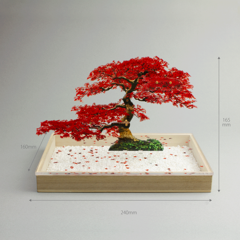 bonsai Sサイズ もみじ | toumei online store bonsai Sサイズ もみじ | toumei online store