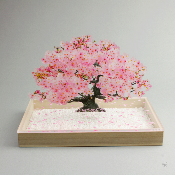 0003_bonsaiS_sakura1_600x600_c