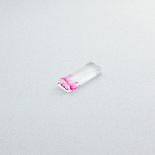 押花 はしおき カーネーション 単品