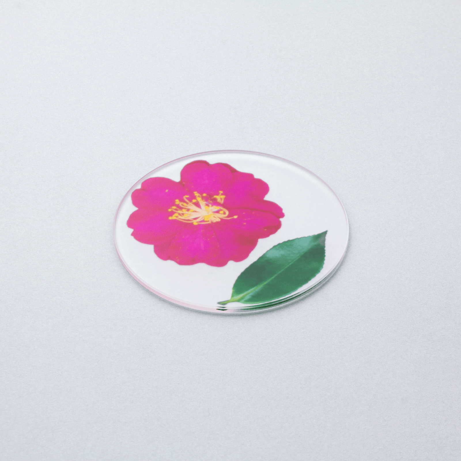 期間限定セール 押花 store online toumei | コースター<山茶花・椿> その他