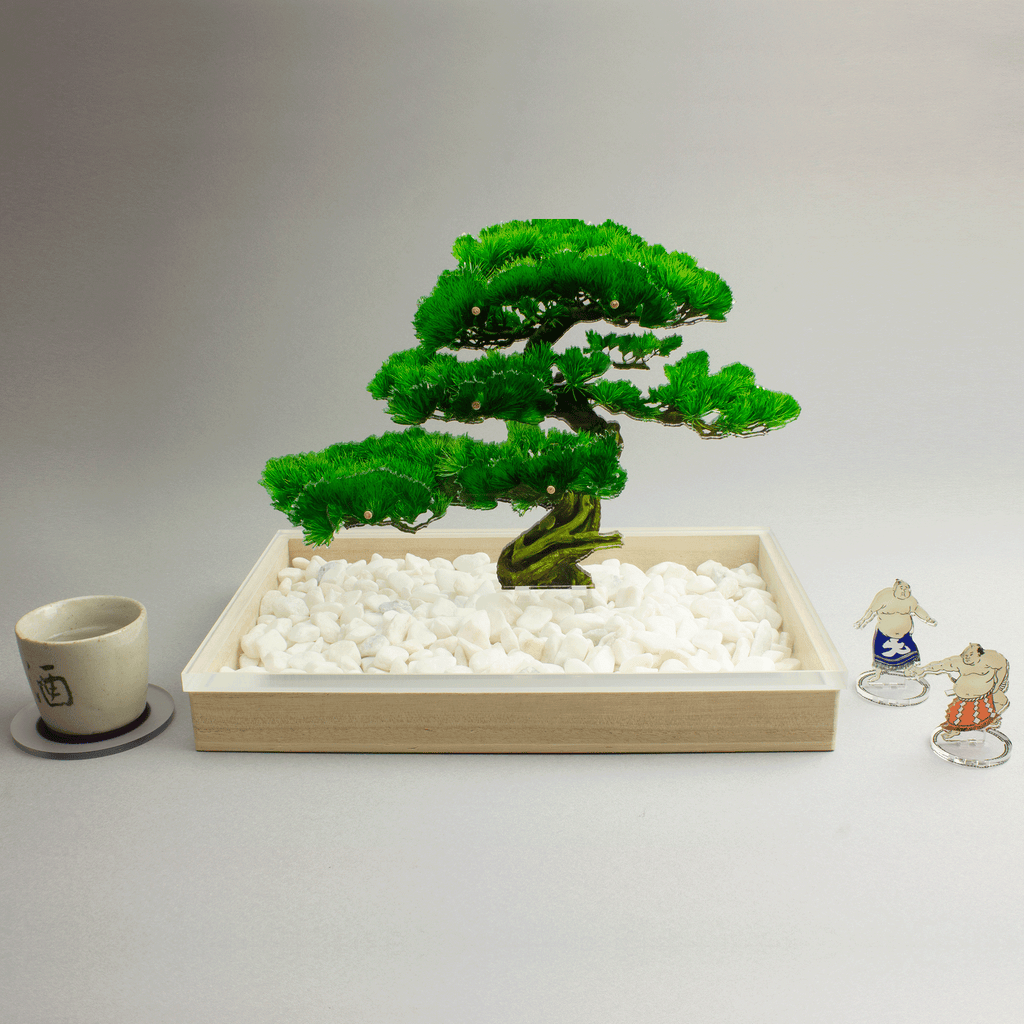 bonsai Sサイズ 松 | toumei online store bonsai Sサイズ 松 | toumei online store