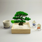 mini bonsai