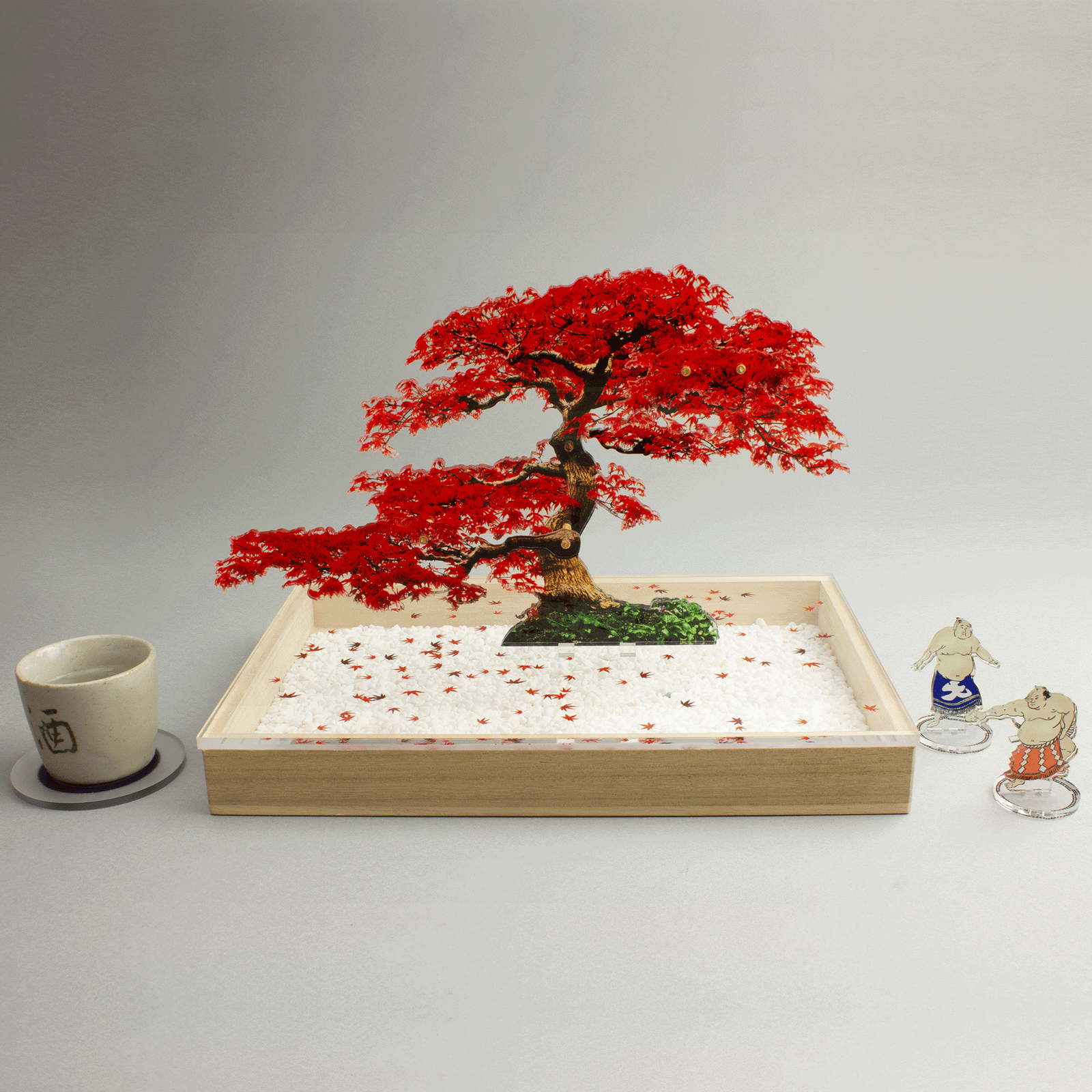 bonsai Sサイズ もみじ | toumei online store bonsai Sサイズ もみじ | toumei online store