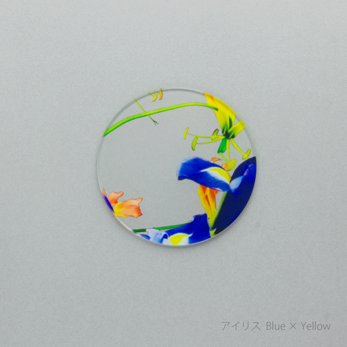 ikebana コースター　アイリス Blue × Yellow