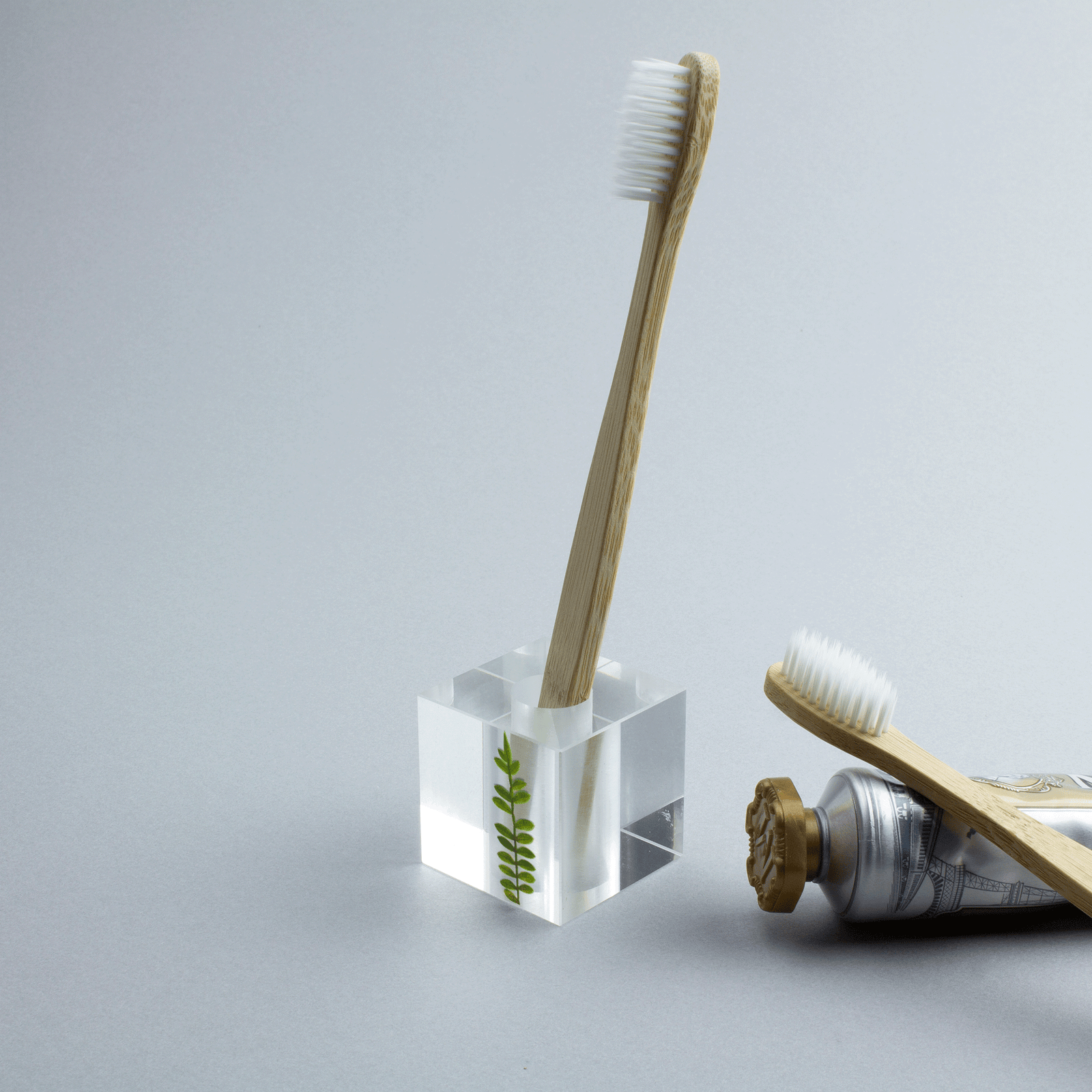 0006_oshibana_haburashi_hd_nem 0006_oshibana_haburashi_hd_nem