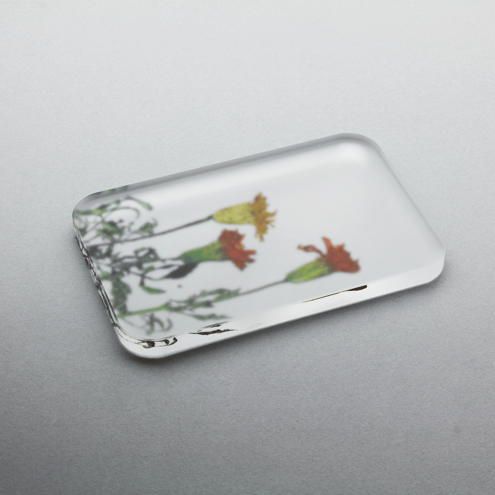 押花 ソープ ディッシュ | toumei online store 押花 ソープ ディッシュ | toumei online store