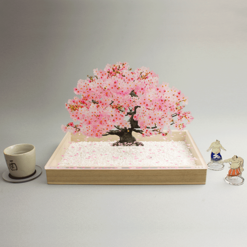 bonsai Sサイズ 桜