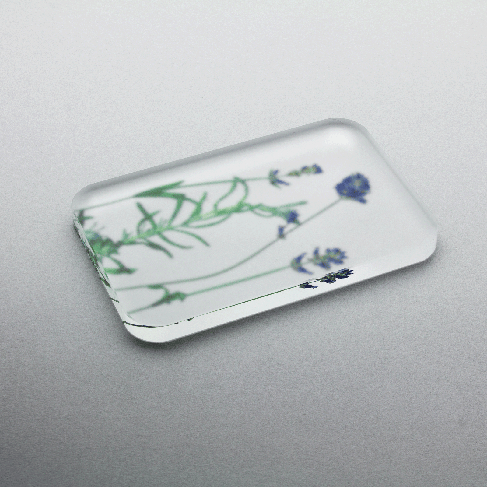 押花 ソープ ディッシュ | toumei online store