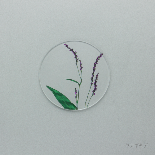 押花 コースター 単品