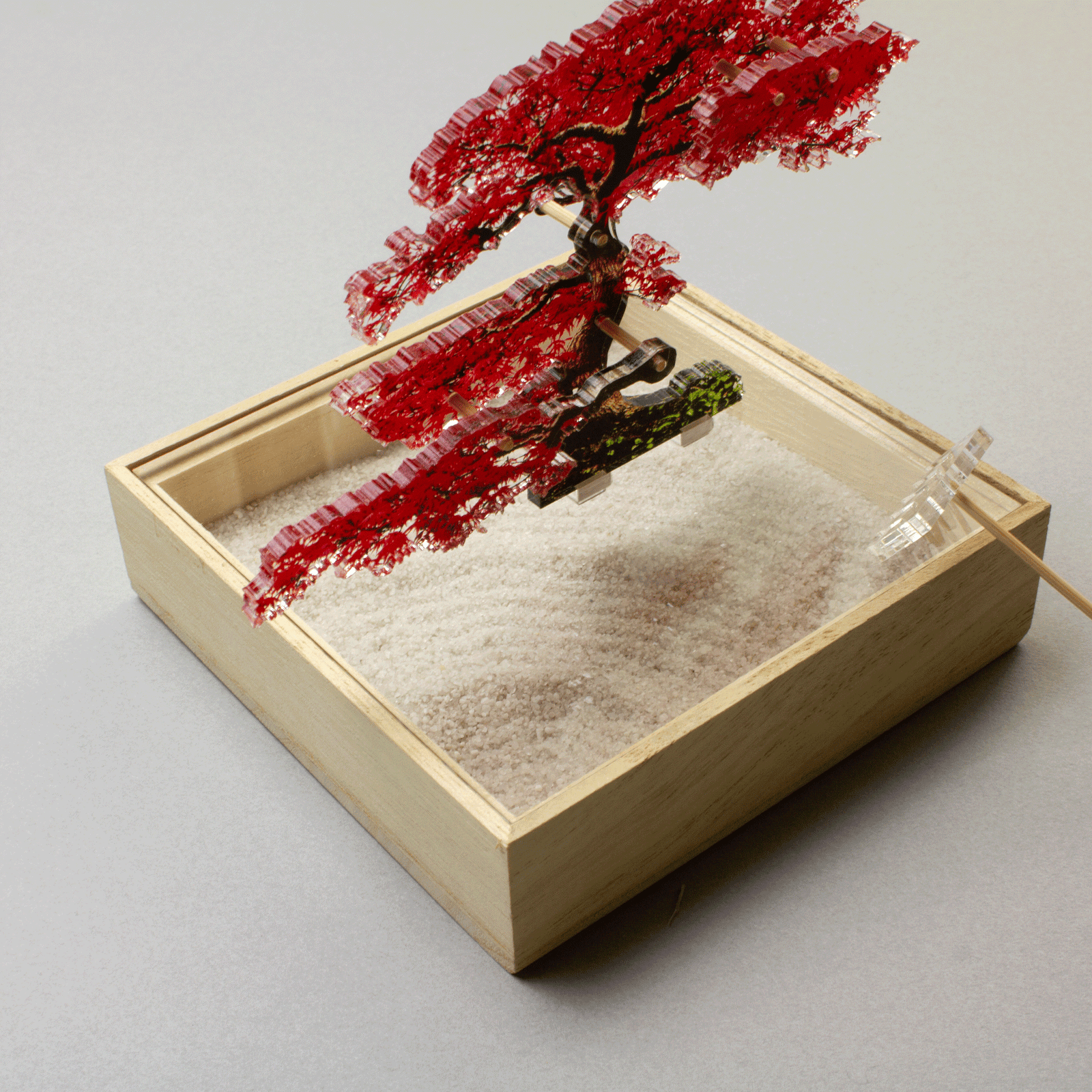 mini bonsai | toumei online store mini bonsai | toumei online store