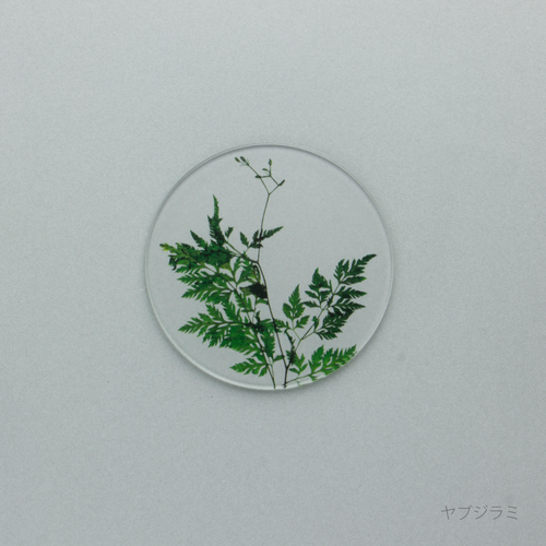 押花 コースター 単品