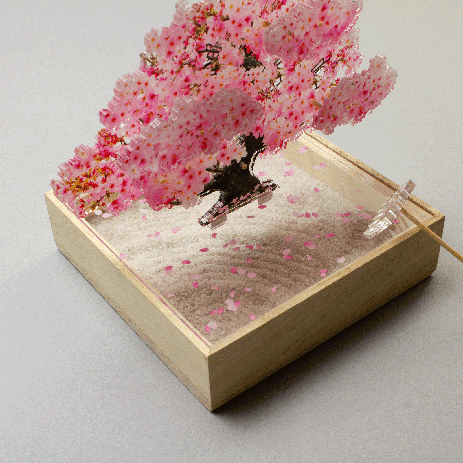 mini bonsai | toumei online store