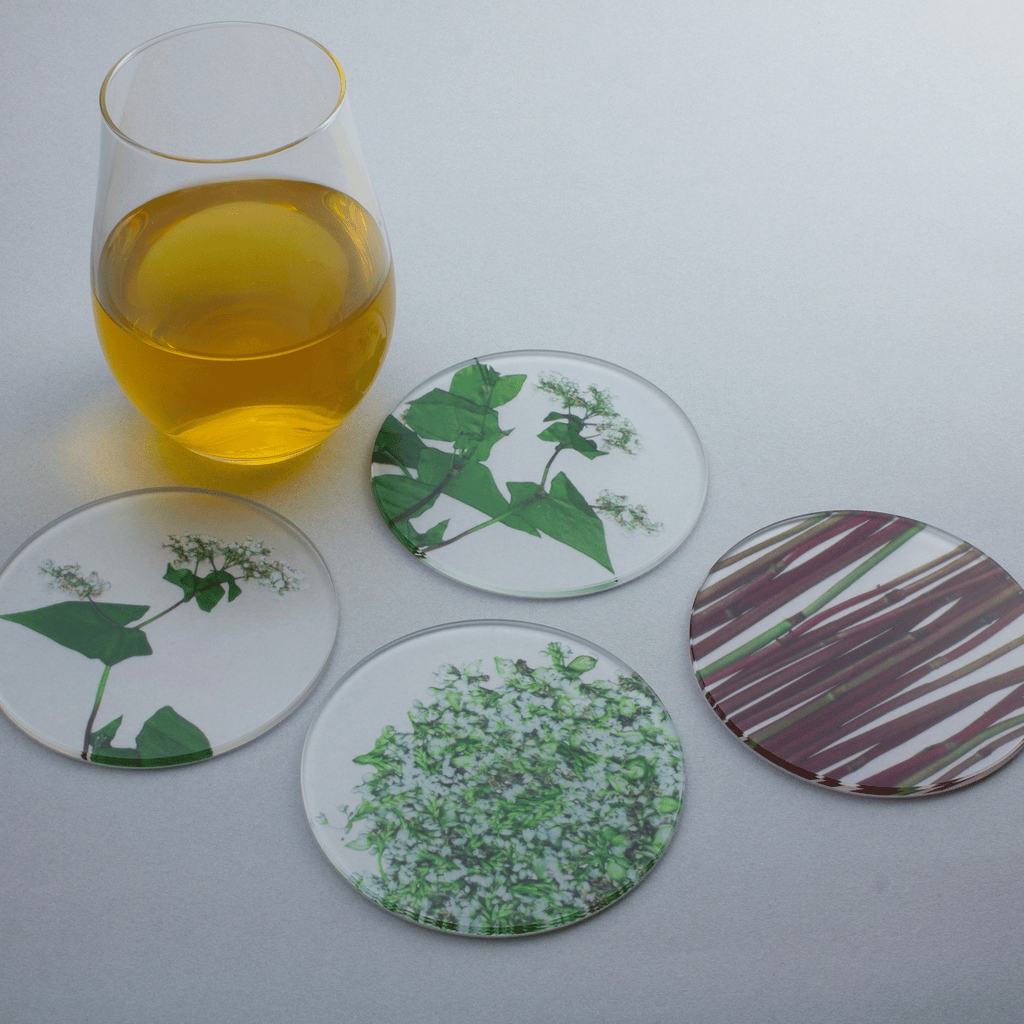 そばの花 コースター 4枚セット | toumei online store