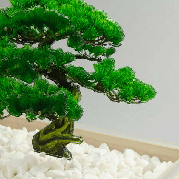 bonsai Sサイズ 松