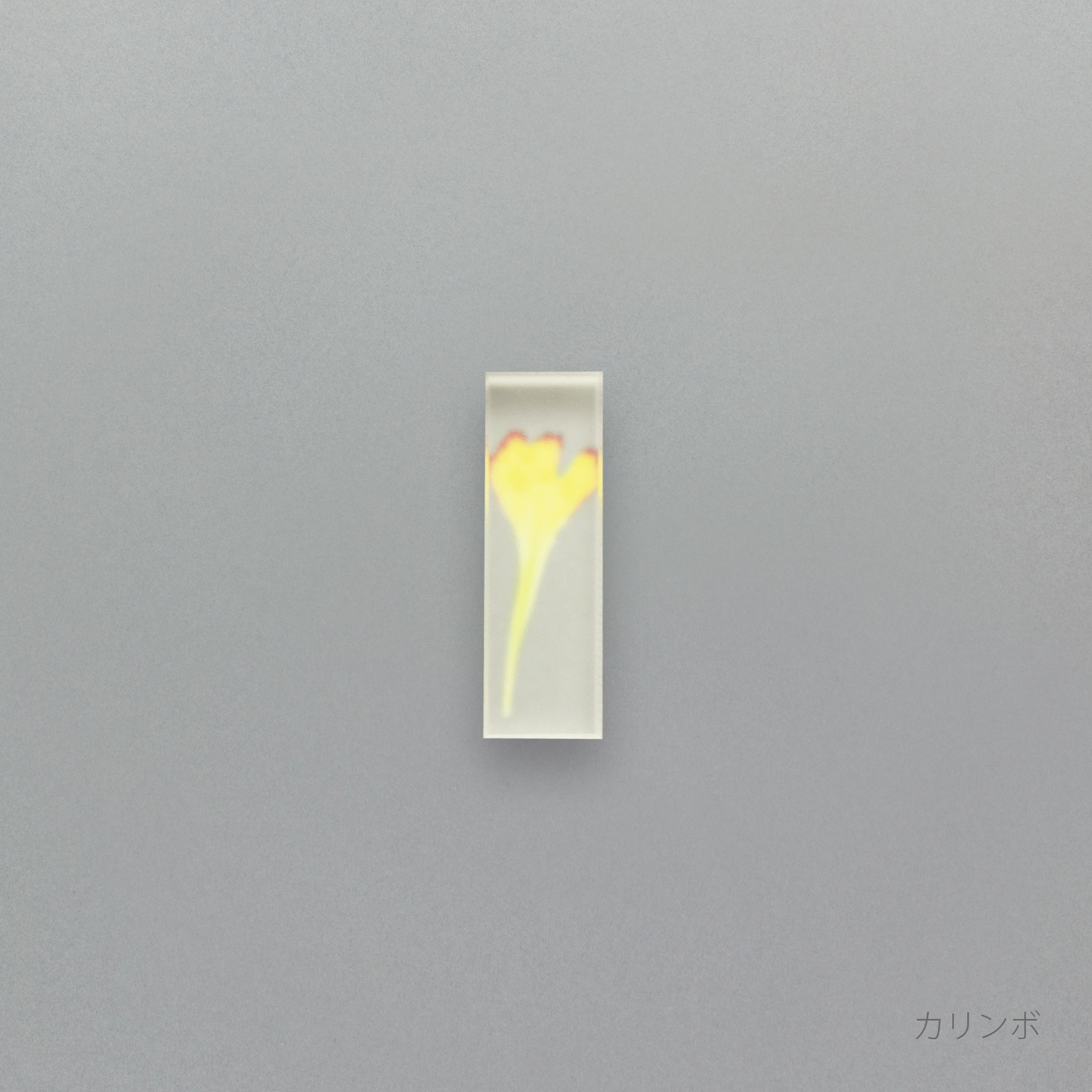 カリンボ様用 ガレージキット 海外フィギュア 占いババ ミスターポポ