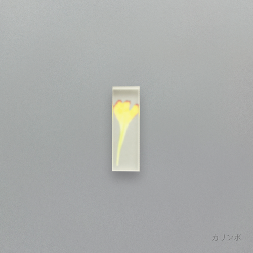 押花 はしおき カーネーション 単品