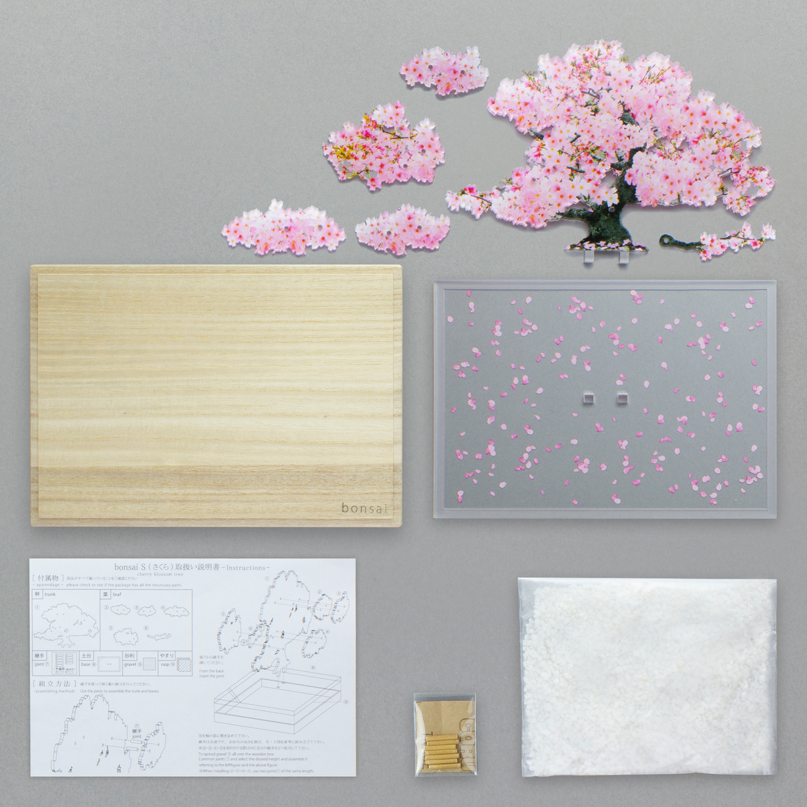 bonsai Sサイズ 桜 | toumei online store