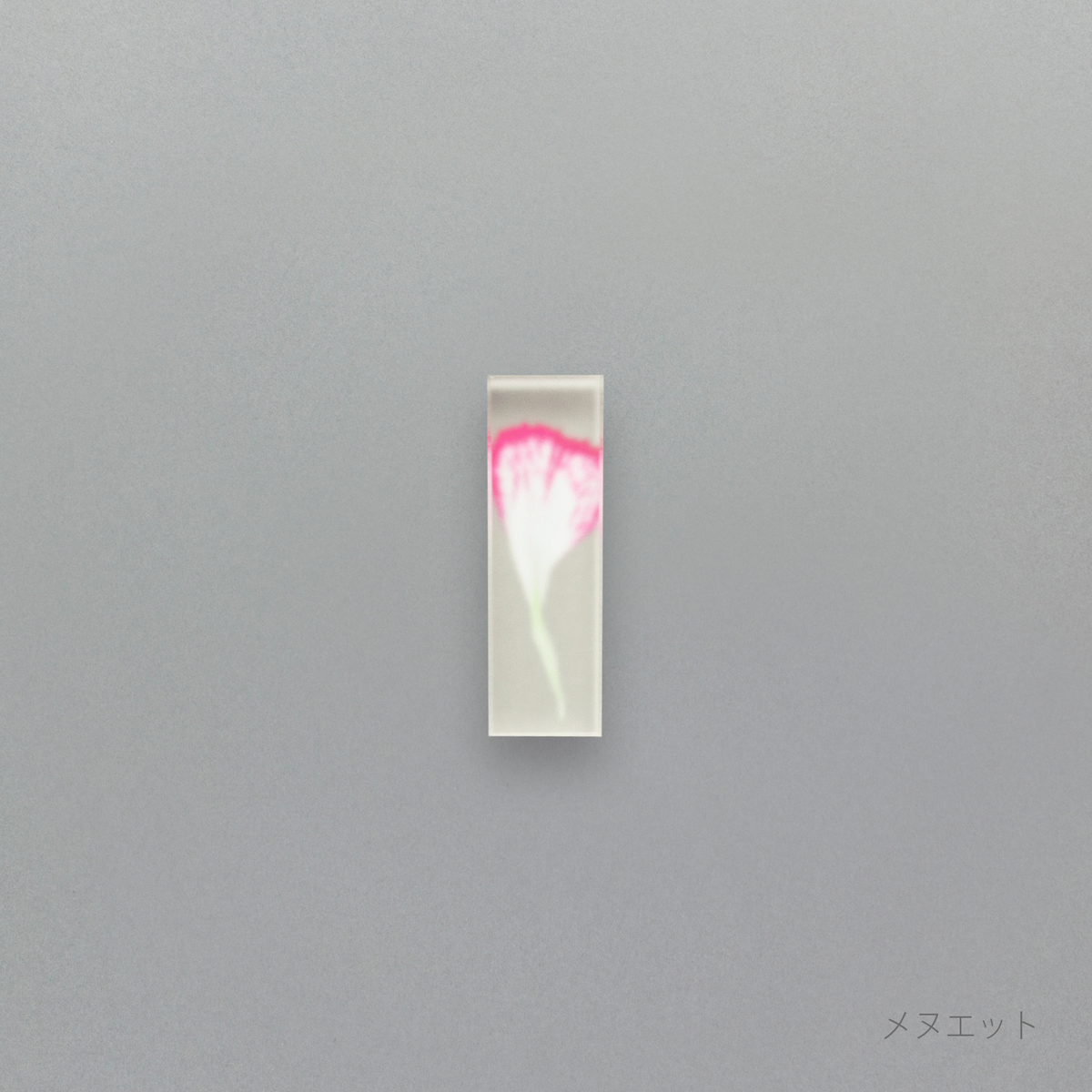 母の日 – toumei