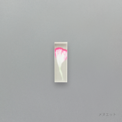 押花 はしおき カーネーション 単品