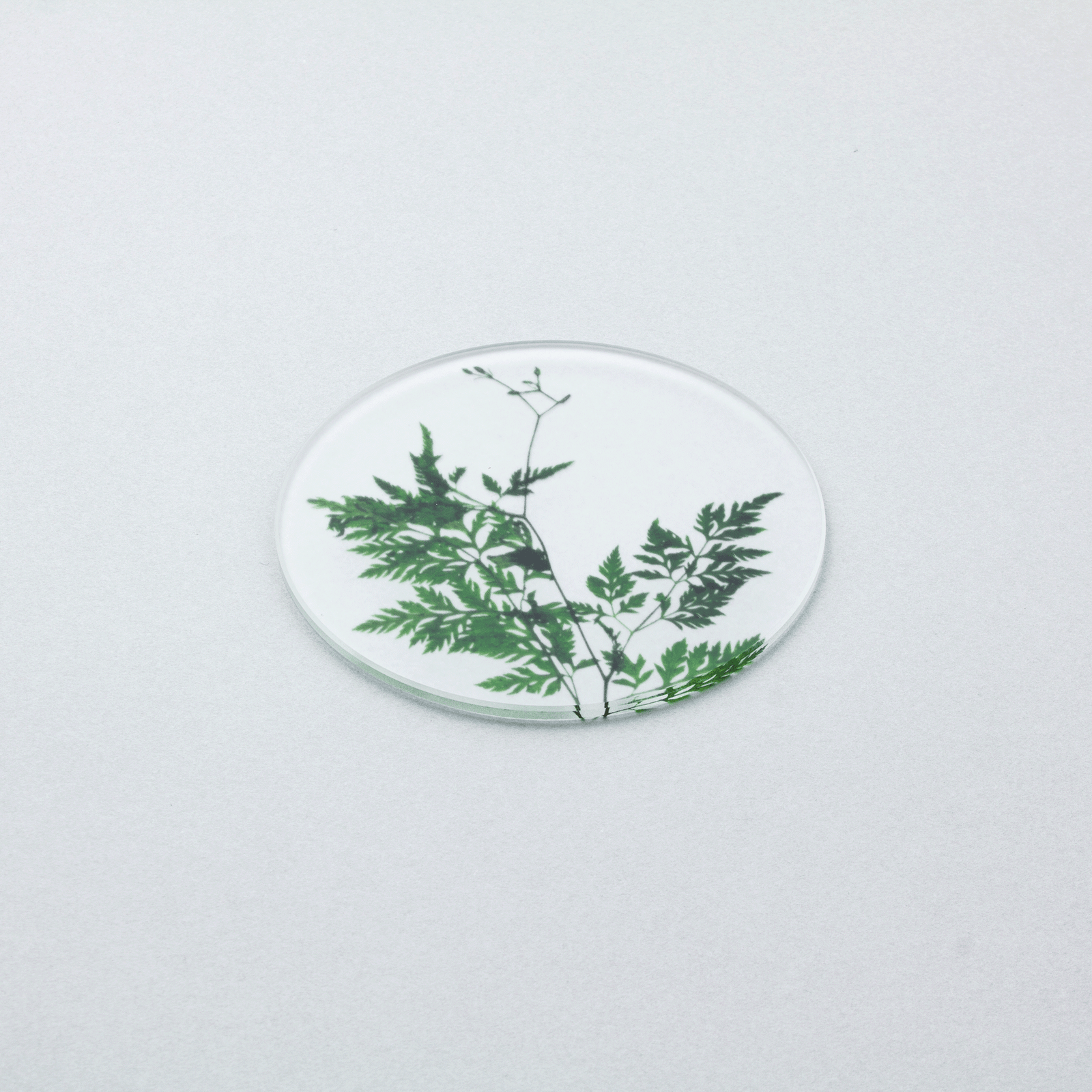 押花 コースター | toumei online store