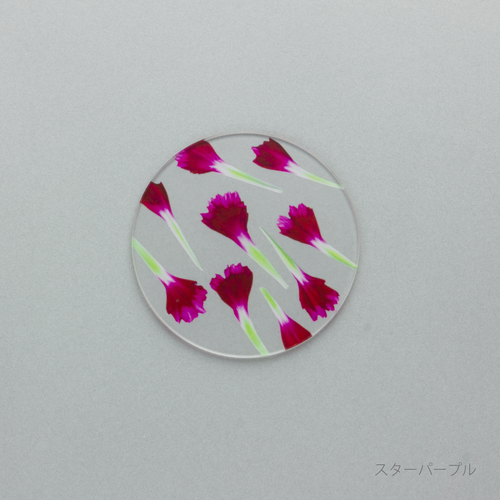 押花 コースター カーネーション 単品