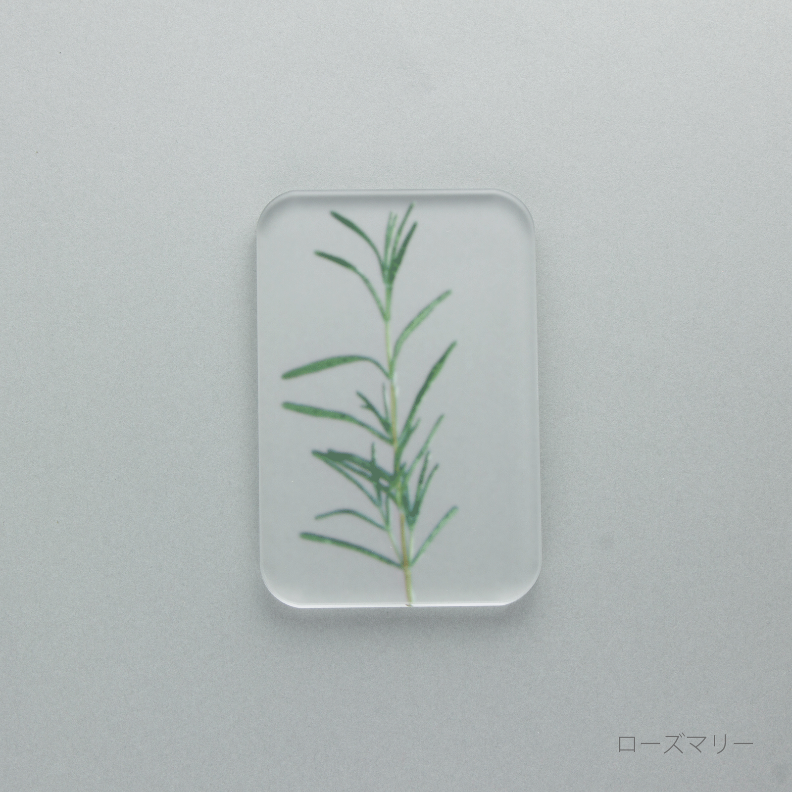 押花 ソープ ディッシュ | toumei online store