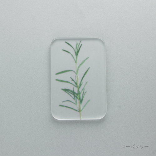 押花 ソープ ディッシュ
