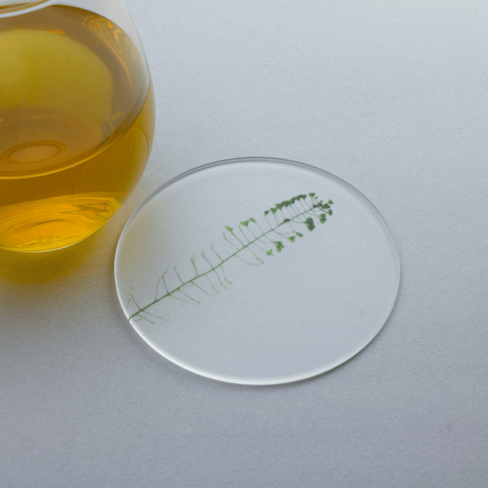 押花 コースター | toumei online store