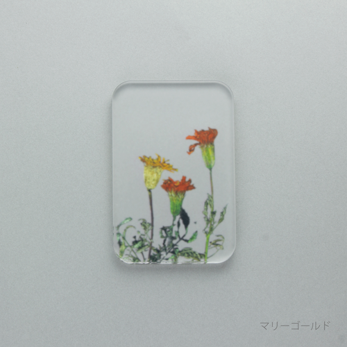 押花 ソープ ディッシュ